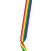 Pride Satin Sash - Rainbow