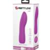 Pretty Love Leif Mini Vibe - 12 Function Fuchsia
