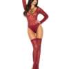 Sheer Burnout Long Sleeve Teddy & Matching Stockings Burgundy O/S