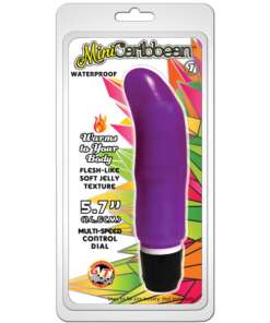 Mini Caribbean Vibe #1 - Purple