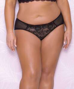 Scallop Lace & Mesh Hipster Panty Black 3X