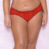 Scallop Lace & Mesh Hipster Panty Red 2X