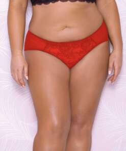 Scallop Lace & Mesh Hipster Panty Red 2X