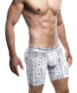 Male Basics Spider Hipster Boxer Brief White/Black MD