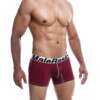 Male Basics Performance Boxer Burgundy LG