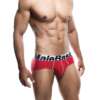 Male Basics Performance Brief Burgundy SM