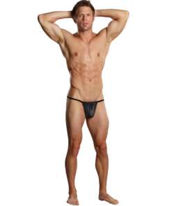 Male Power Nylon Lycra Pouch Thong Black O/S