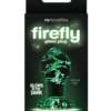 Firefly Clear Glass Plug Small - Glow