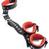Rouge Neck to Wrist Restraint - Black/Red