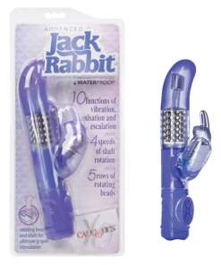 Jack Rabbits Advanced G - Purple